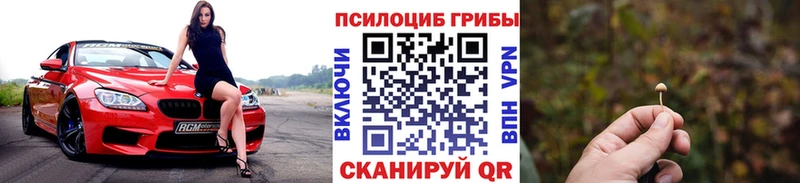 Галлюциногенные грибы мухоморы Тольятти
