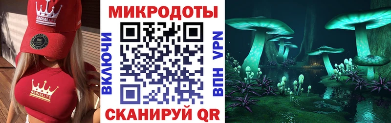 наркошоп Тольятти Галлюциногенные грибы Psilocybe